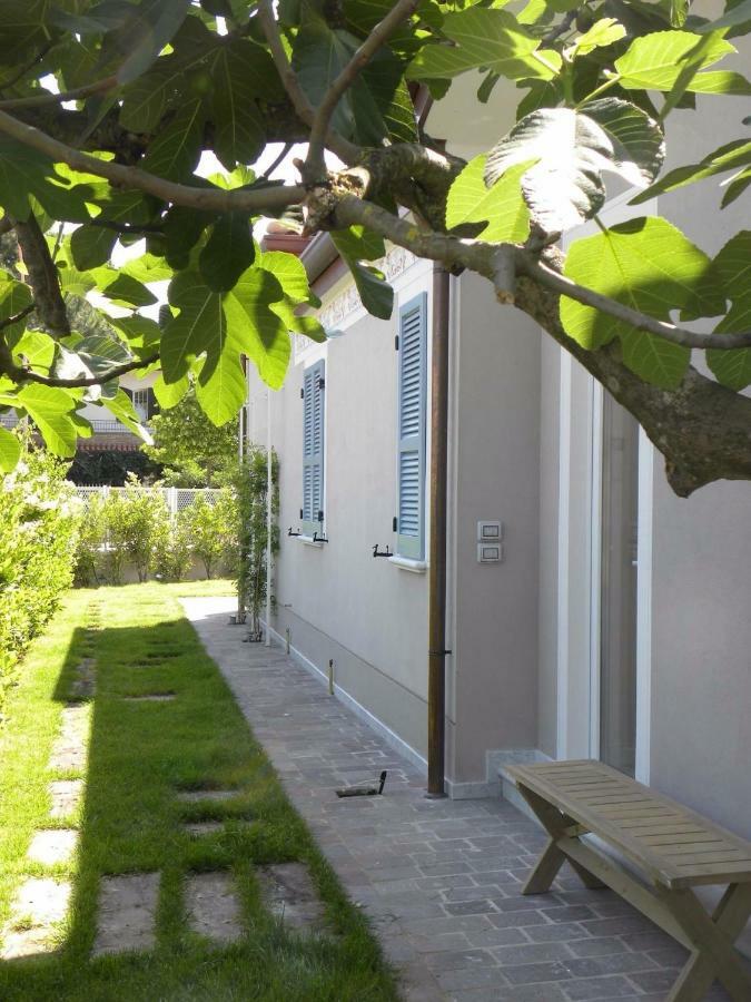 维拉塞勒斯特住宿加早餐旅馆 切尔维亚 外观 照片